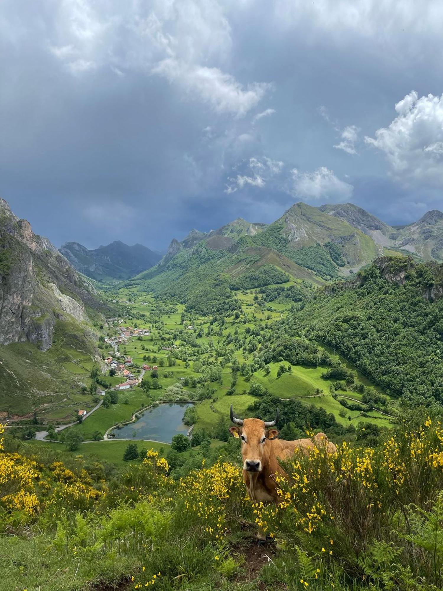 Apartamentos Rurales La Laguna Somiedo Valle de Lago ภายนอก รูปภาพ